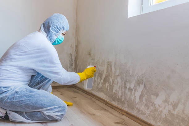 Commercial Mold Remediation assessment for commercial property in Milltown